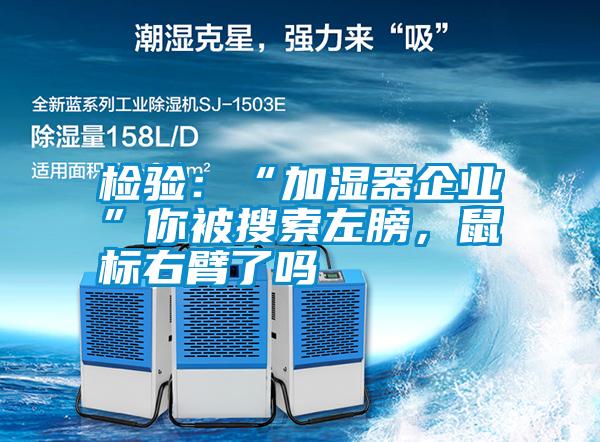檢驗(yàn)：“加濕器企業(yè)”你被搜索左膀，鼠標(biāo)右臂了嗎