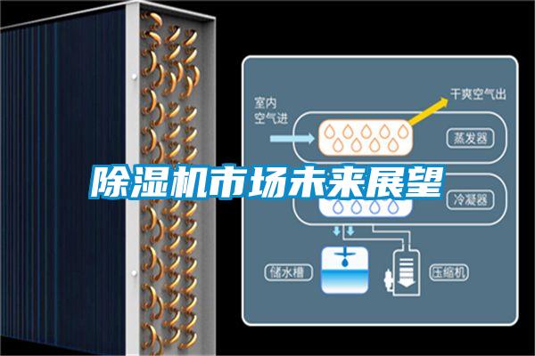 除濕機(jī)市場(chǎng)未來(lái)展望