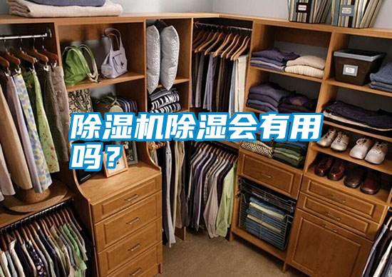 除濕機除濕會有用嗎？