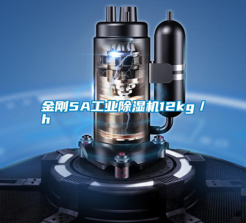 金剛5A工業(yè)除濕機12kg／h