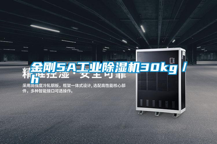 金剛5A工業(yè)除濕機30kg／h
