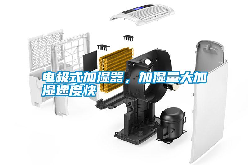 電極式加濕器，加濕量大加濕速度快