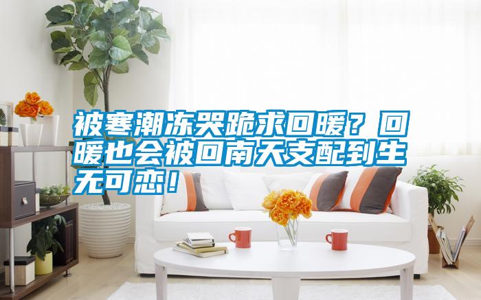 被寒潮凍哭跪求回暖？回暖也會(huì)被回南天支配到生無可戀！