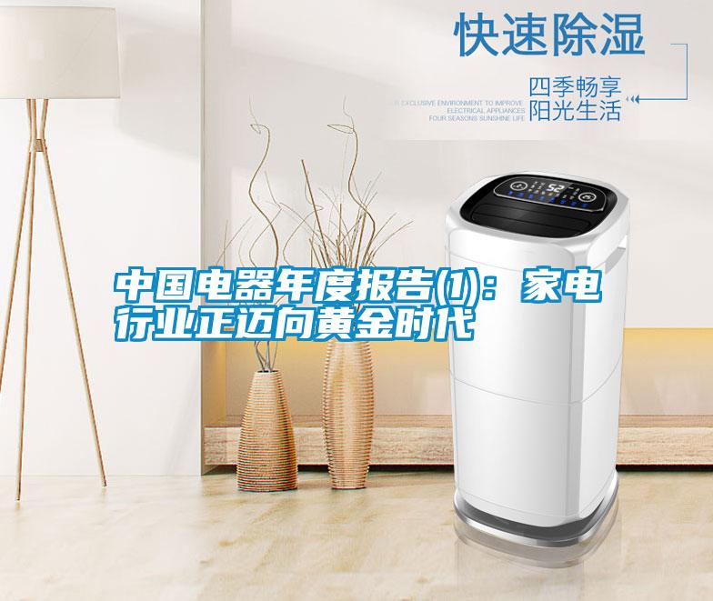 中國電器年度報告(1)：家電行業(yè)正邁向黃金時代