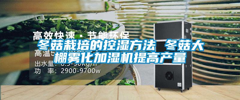 冬菇栽培的控濕方法 冬菇大棚霧化加濕機(jī)提高產(chǎn)量