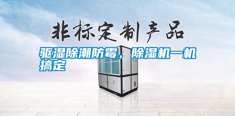 驅(qū)濕除潮防霉，除濕機一機搞定