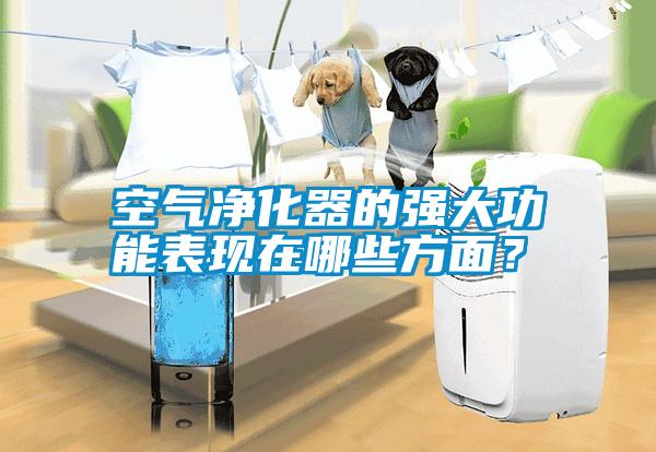 空氣凈化器的強(qiáng)大功能表現(xiàn)在哪些方面？