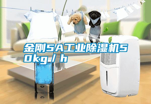 金剛5A工業(yè)除濕機50kg／h