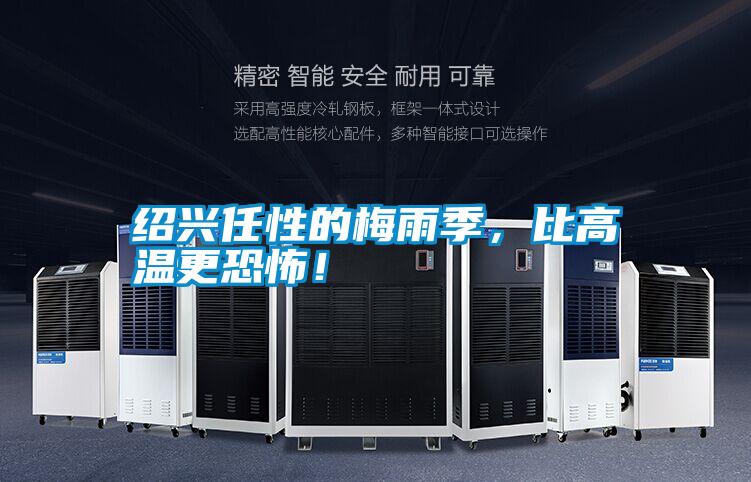 紹興任性的梅雨季，比高溫更恐怖！