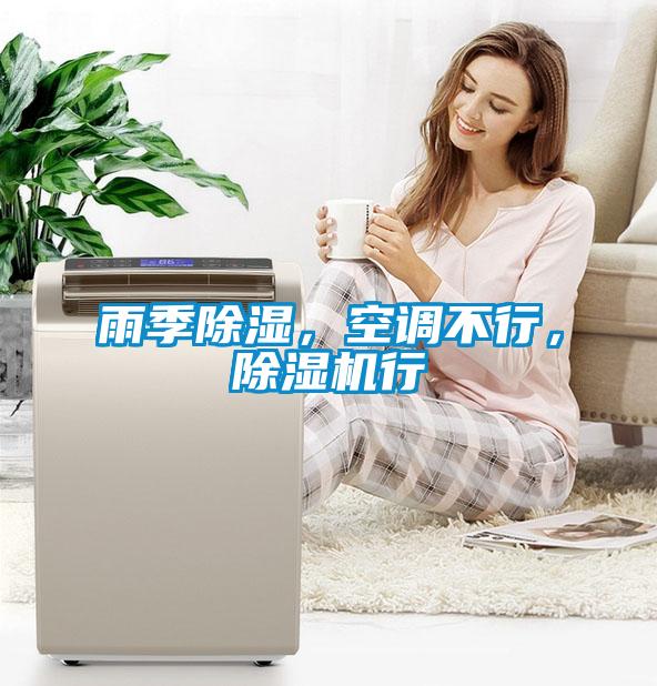 雨季除濕，空調(diào)不行，除濕機(jī)行