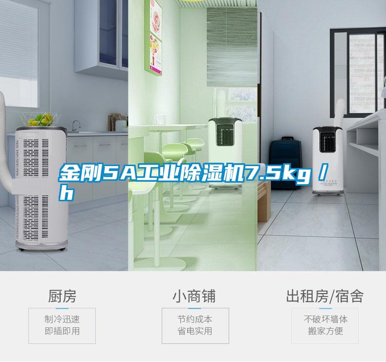 金剛5A工業(yè)除濕機7.5kg／h