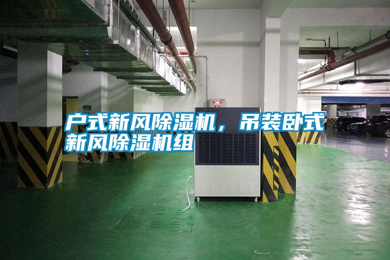 戶式新風(fēng)除濕機，吊裝臥式新風(fēng)除濕機組