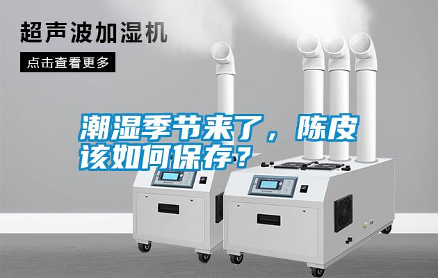 潮濕季節(jié)來了，陳皮該如何保存？