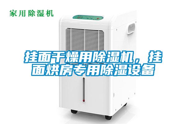 掛面干燥用除濕機(jī)，掛面烘房專用除濕設(shè)備