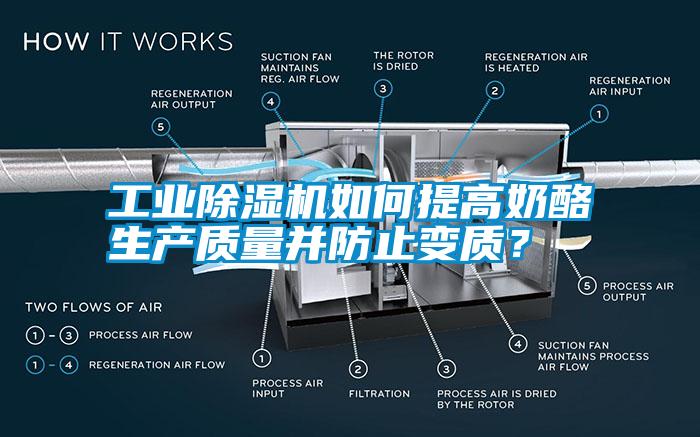 工業(yè)除濕機(jī)如何提高奶酪生產(chǎn)質(zhì)量并防止變質(zhì)？