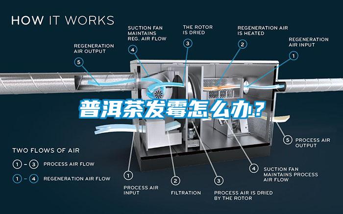 普洱茶發(fā)霉怎么辦？