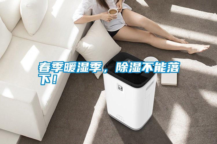 春季暖濕季，除濕不能落下！