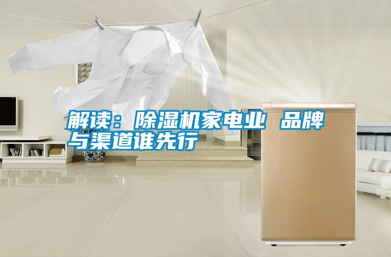 解讀：除濕機家電業(yè) 品牌與渠道誰先行