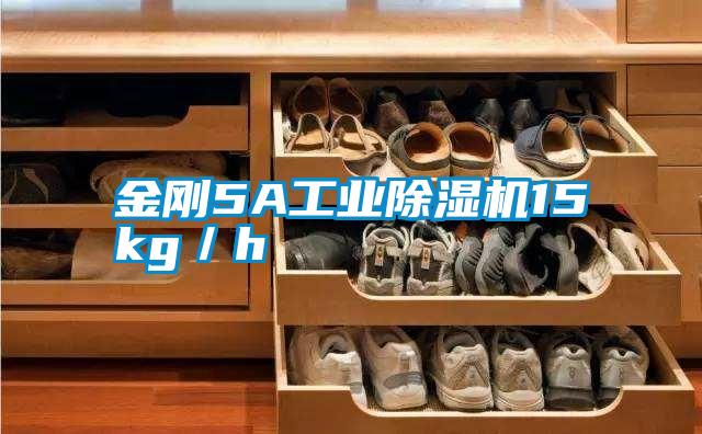 金剛5A工業(yè)除濕機15kg／h