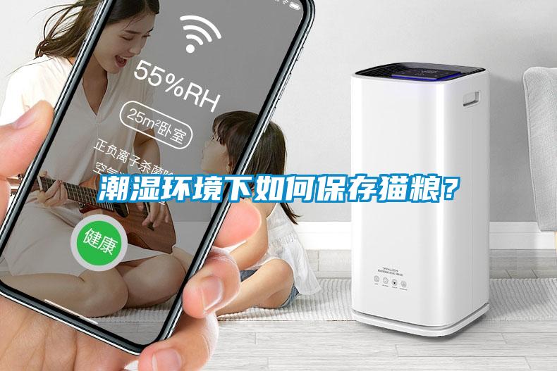潮濕環(huán)境下如何保存貓糧？
