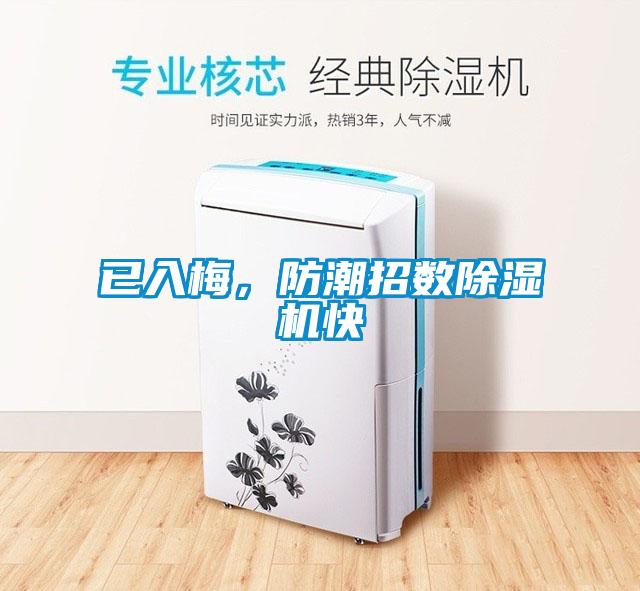 已入梅，防潮招數(shù)除濕機快