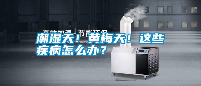 潮濕天！黃梅天！這些疾病怎么辦？