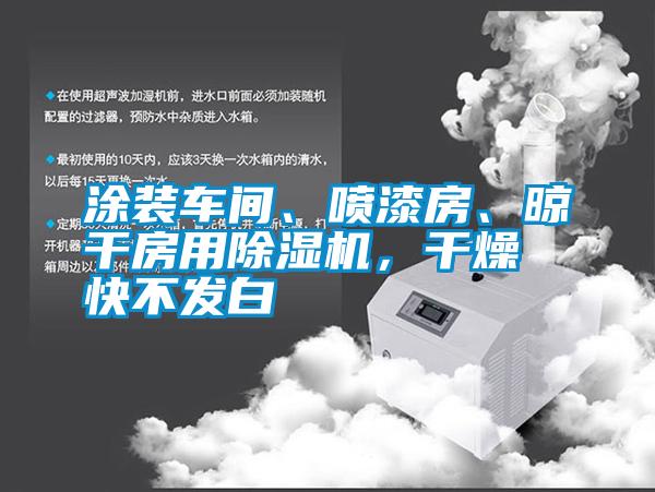 涂裝車間、噴漆房、晾干房用除濕機(jī)，干燥快不發(fā)白