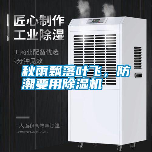 秋雨飄落葉飛，防潮要用除濕機