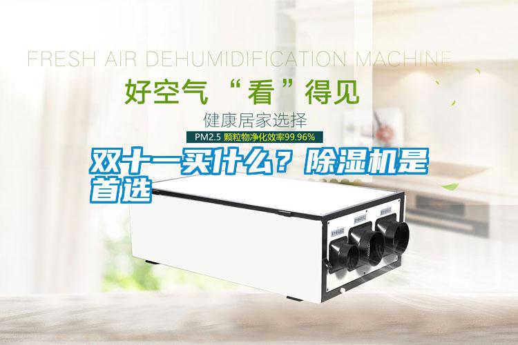 雙十一買什么？除濕機(jī)是首選