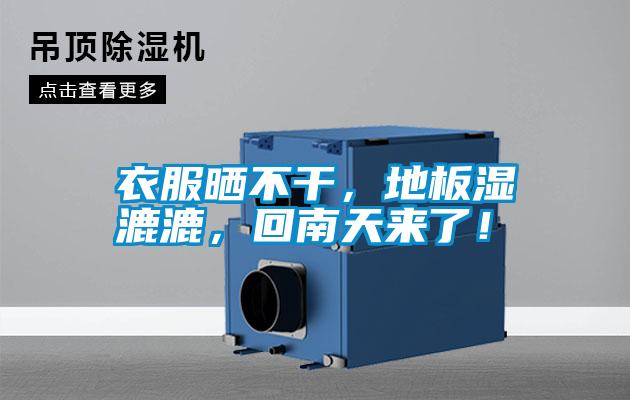 衣服曬不干，地板濕漉漉，回南天來了！