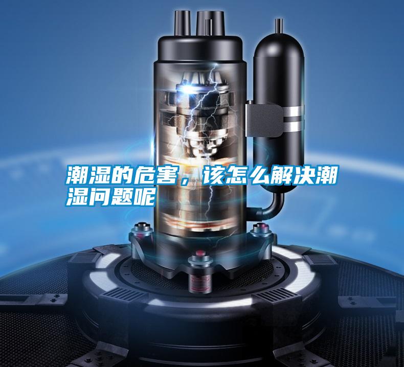 潮濕的危害，該怎么解決潮濕問題呢