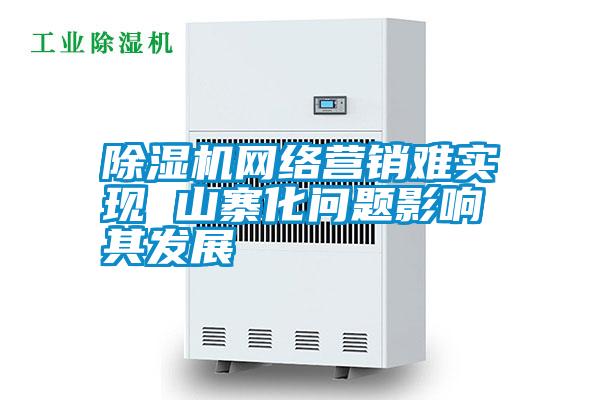 除濕機網絡營銷難實現 山寨化問題影響其發(fā)展