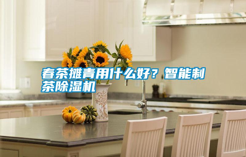 春茶攤青用什么好？智能制茶除濕機