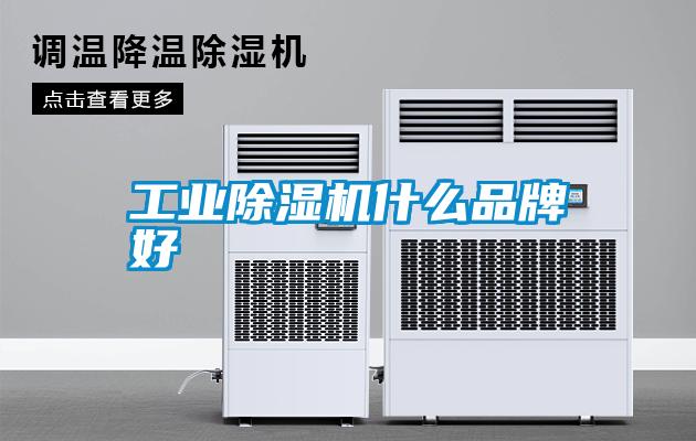 工業(yè)除濕機(jī)什么品牌好