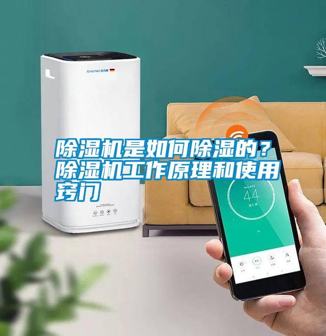 除濕機(jī)是如何除濕的？除濕機(jī)工作原理和使用竅門(mén)
