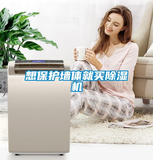 想保護(hù)墻體就買除濕機(jī)
