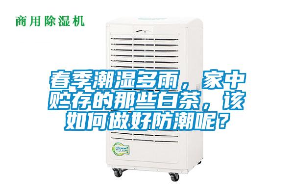 春季潮濕多雨，家中貯存的那些白茶，該如何做好防潮呢？