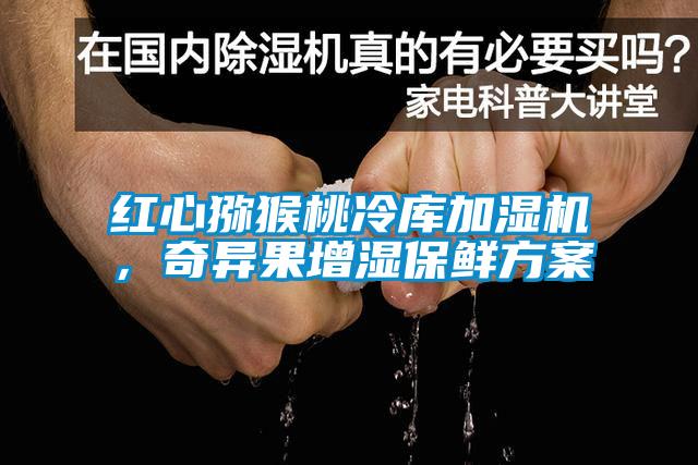 紅心獼猴桃冷庫加濕機(jī)，奇異果增濕保鮮方案
