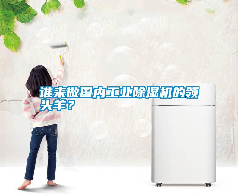 誰來做國內工業(yè)除濕機的領頭羊？