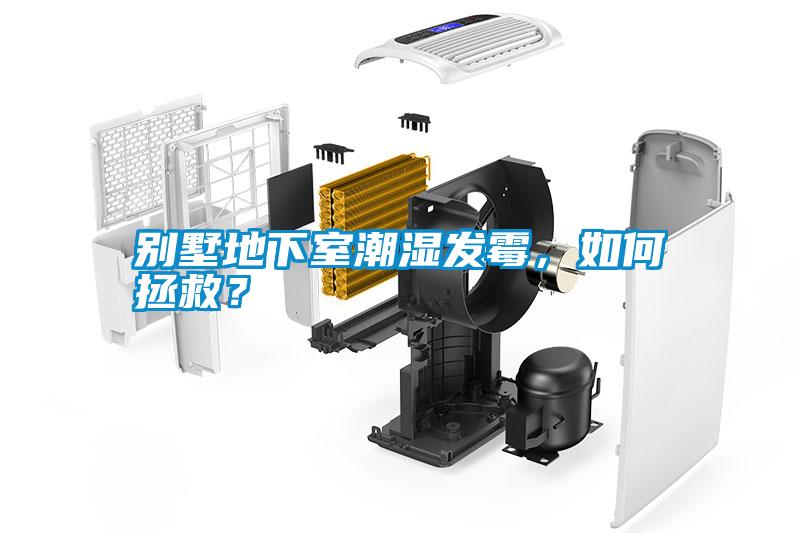 別墅地下室潮濕發(fā)霉，如何拯救？