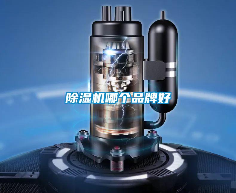 除濕機(jī)哪個品牌好