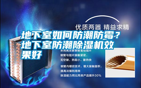 地下室如何防潮防霉？地下室防潮除濕機(jī)效果好