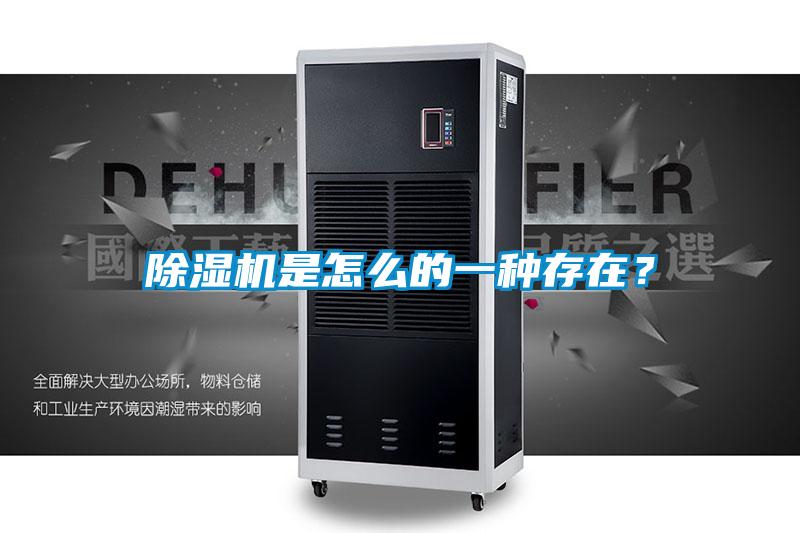 除濕機是怎么的一種存在？