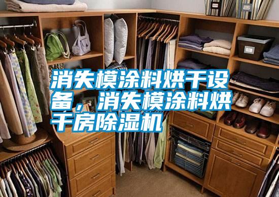 消失模涂料烘干設(shè)備，消失模涂料烘干房除濕機(jī)