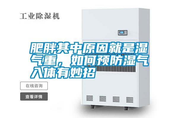 肥胖其中原因就是濕氣重，如何預(yù)防濕氣入體有妙招