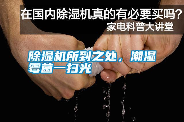 除濕機所到之處，潮濕霉菌一掃光
