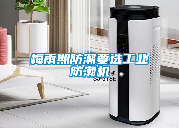 梅雨期防潮要選工業(yè)防潮機
