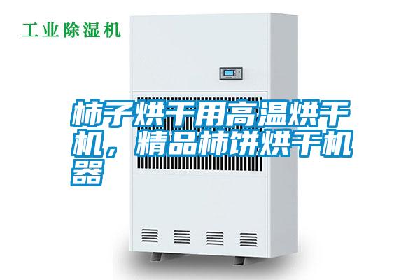 柿子烘干用高溫烘干機(jī)，精品柿餅烘干機(jī)器