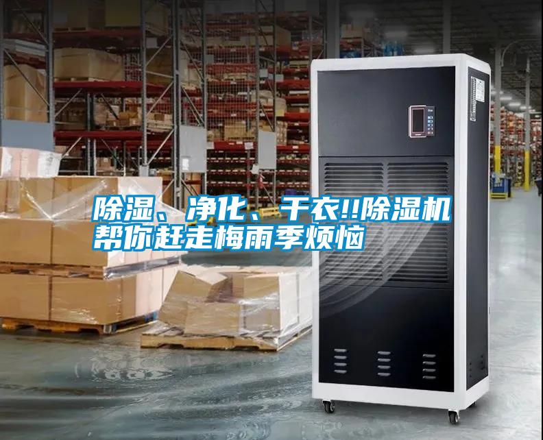 除濕、凈化、干衣!!除濕機幫你趕走梅雨季煩惱