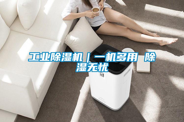 工業(yè)除濕機(jī)｜一機(jī)多用 除濕無(wú)憂